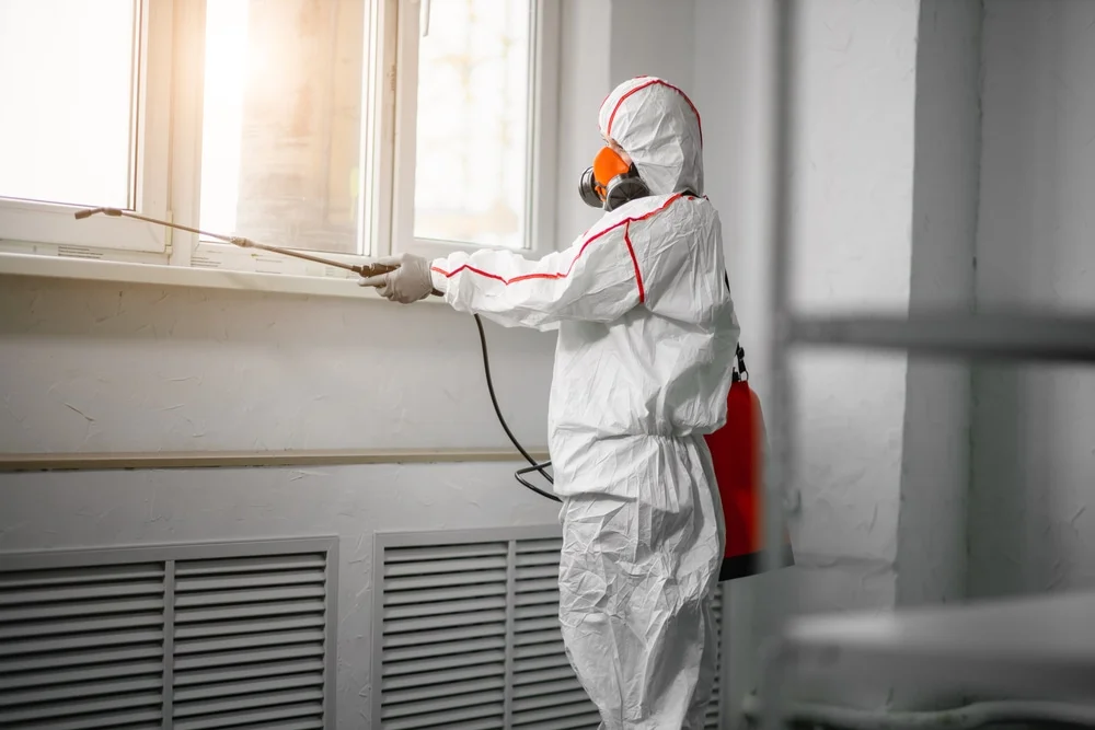 Professional mold remediation services in Odon, IN